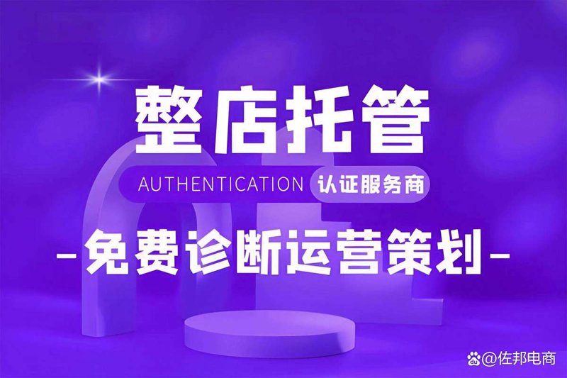 电商领域的升级秘籍：网店托管服务